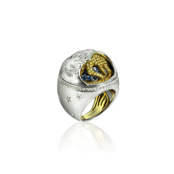 Signature Cosmos Spinning Ring